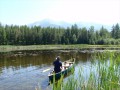 Canoeing in the Swan Valley, Montana