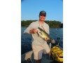 Lake Eugenia Largemouth Bass captured for the monitoring and tracking study