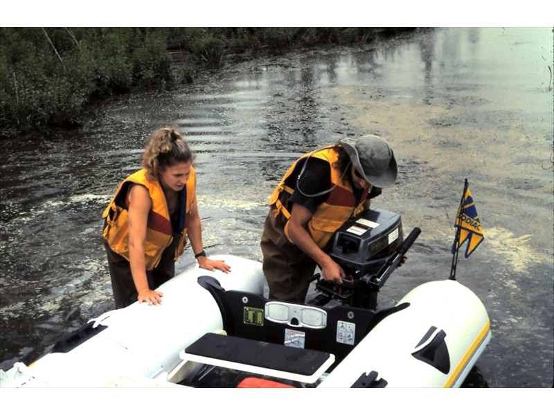 Collecting fish for radio tracking, Grand River, Kitchener, Ontario