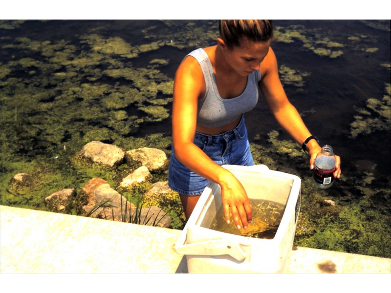 Collecting plankton for fish, Grand River, Kitchener, Ontario