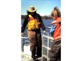 Installing a fishway trap at the Mannheim Weir, Kitchener, Ontario