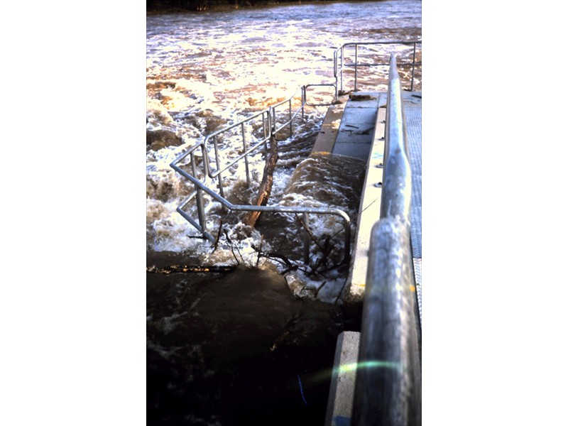 Grand River in flood, Mannheim Weir, Kitchener, Ontario