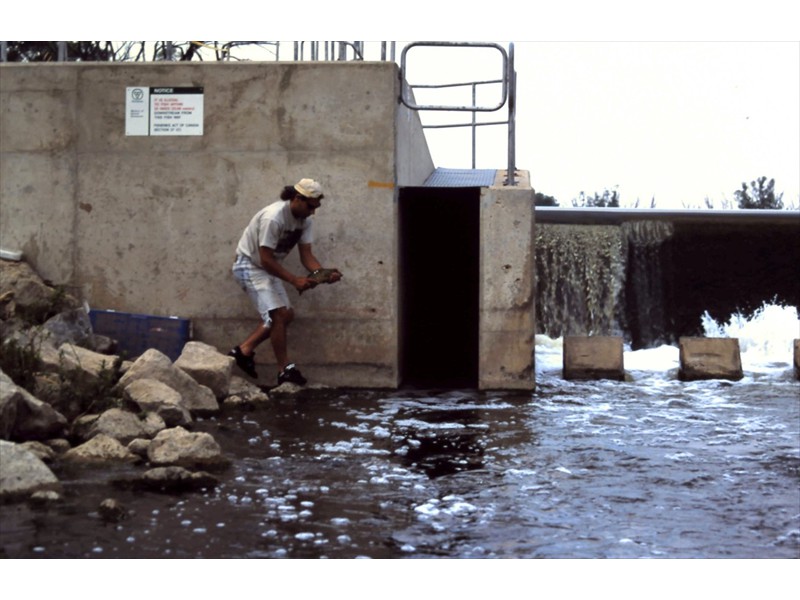 Down at the Mannheim Weir