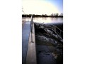 Grand River in flood, Mannheim Weir, Kitchener, Ontario