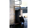 Coralling fish in the Mannheim Weir fishway, Kitchener, Ontario