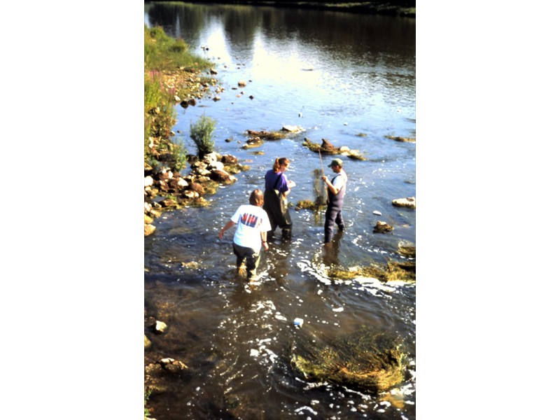 Tracking smallmouth bass in the Grand River, Kitchener, Ontario