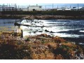 DOW Chemical Dam, Tittabawassee River, Midland, Michigan