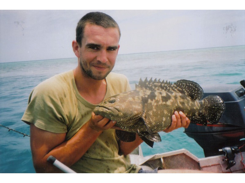 A potato cod from The Great Barrier Reef, Australia