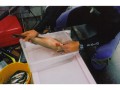 Inserting a tag into a Coral Trout at One Tree Island, The Great Barrier Reef, Australia