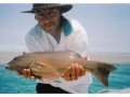 Sonic tagged coral trout from the Great Barrier Reef, Australia (4)