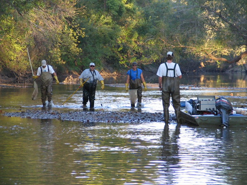 LCRA Staff in the Lower Colorado River, Texas