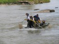 Electrofishing for Blue Suckers on the Lower Colorado River, Texas