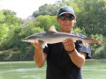 A shark, found dumped under a bridge by the Lower Colorado River, Texas