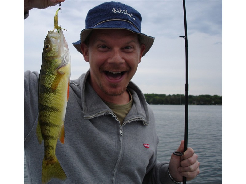 Yellow perch from Eugenia Lake, Ontario