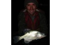 Crappie from Lake Niapenco, Binbrook Reservoir, Ontario