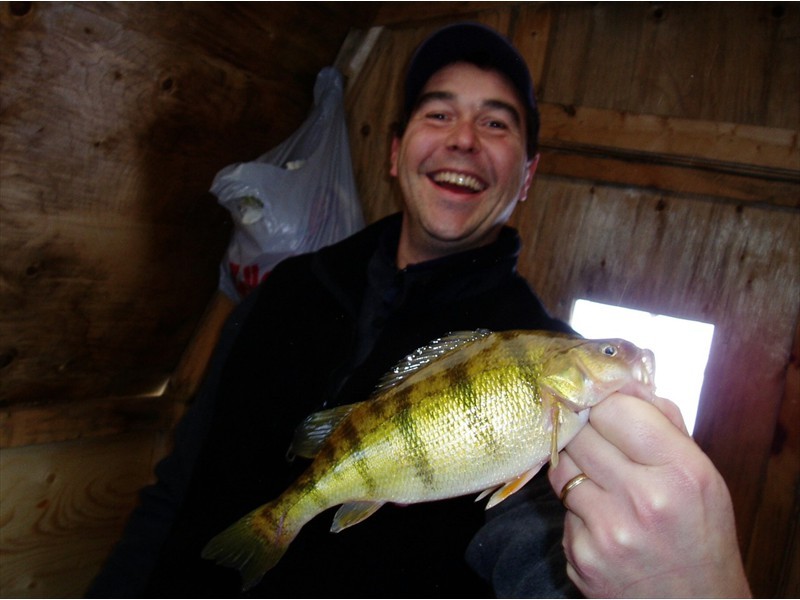 Ice fishing for Yellow Perch, Belwood Lake, Ontario