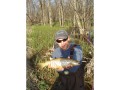 A Brown Trout from the Beaver River, Ontario