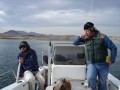 Tracking Blue Suckers in the Colorado River, Texas