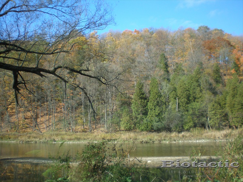 Hidden Valley, Grand River, Kitchener, Ontario