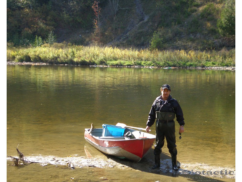 Seining for fish in the Grand River, Kitchener, Ontario