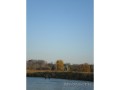 Wading across the Grand River, Kitchener, Ontario