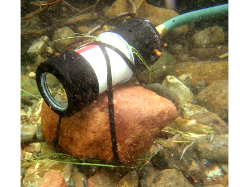 Node 5 in Cooney Creek, Montana