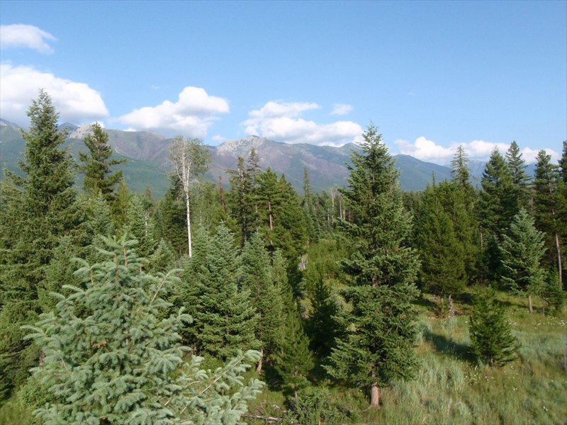 Swan Valley, Montana