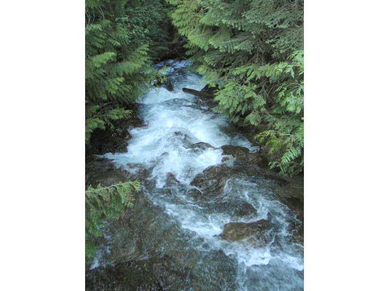 Tributary in the Swan Valley, Montana