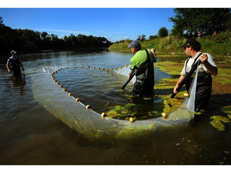 Netting on the Grand River photo by David Bebee