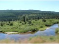 Blackfoot River, Montana