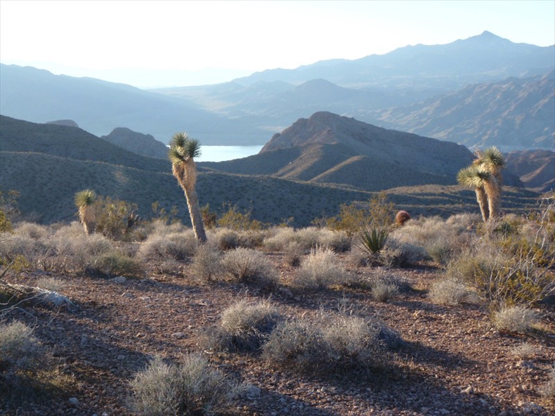 Lake Mead near Meadview Arizona