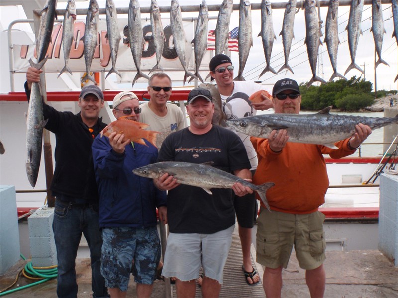 Kingfish in Islamorada, Florida