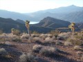 Lake Mead near Meadview Arizona