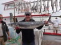 Kingfish in Islamorada, Florida