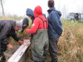 Seining in a tributary of the Welland River with the NPCA