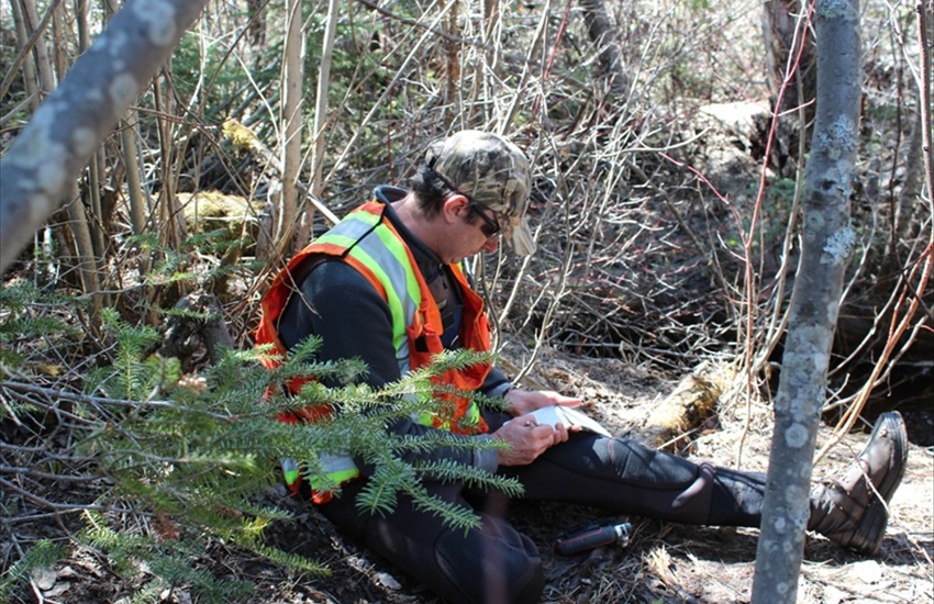 Collecting Field Data