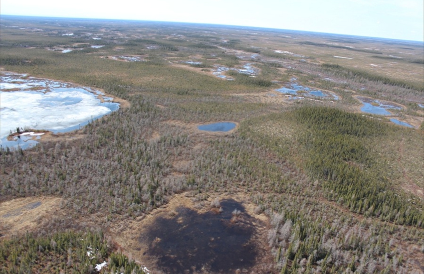 James Bay Lowlands and Muskeg