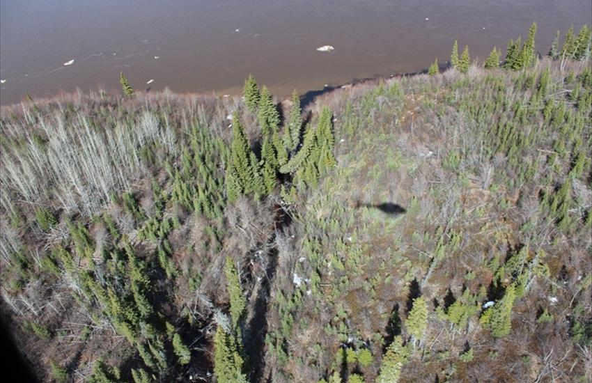 Attawapiskat Fish Spawning Survey