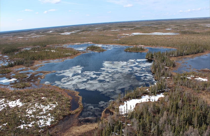 Ponds Full of Stickleback