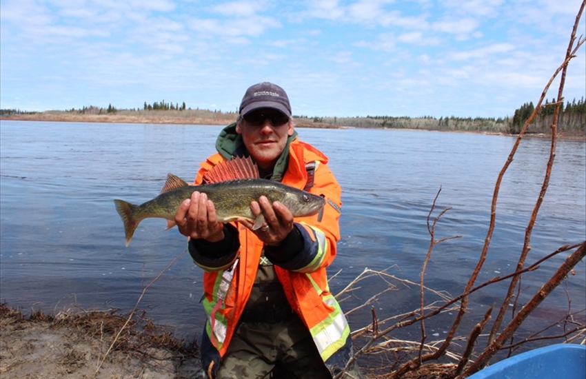 Nice Spring Time Walleye