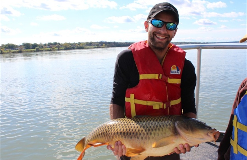 Niagara Electrofishing - Big Carp