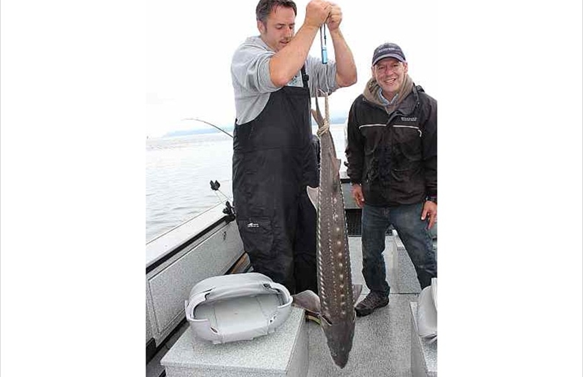 Nice Sturgeon