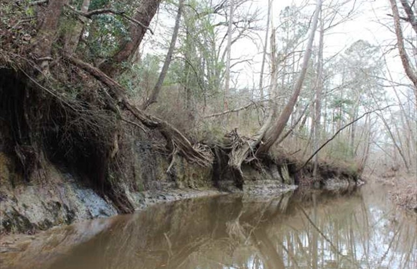 Texas Sabine River Bayou