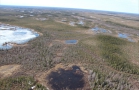 James Bay Lowlands and Muskeg