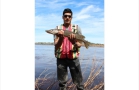 Small Pike from the Attawapiskat River