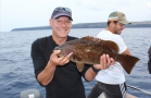 Island Grouper