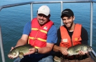 Niagara Electrofishing - Largemouth Bass NPCA Biotactic
