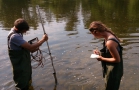 Silver Shiner Habitat