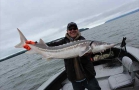 Sturgeon on the Columbia River