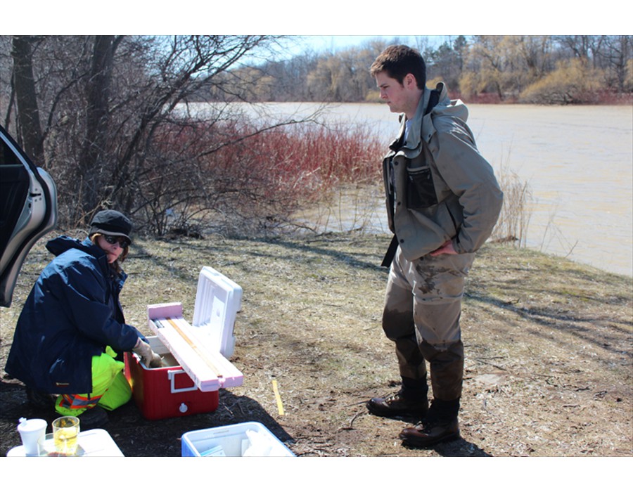 Fish Measurement and Anesthetizing Station